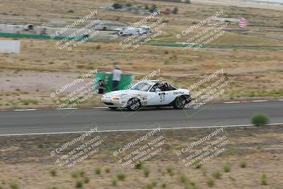 media/May-03-2025-Lucky Dog Racing (Sat) [[206de64b9d]]/Turn 6 (150pm-230pm)/